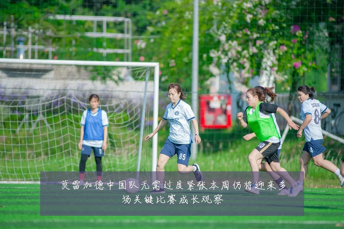 莫雷加德中国队无需过度紧张本周仍将迎来多场关键比赛成长观察